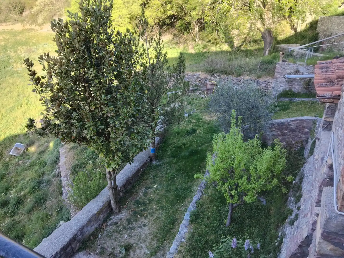 Garden of Houses for sale in Les Valls d'Aguilar