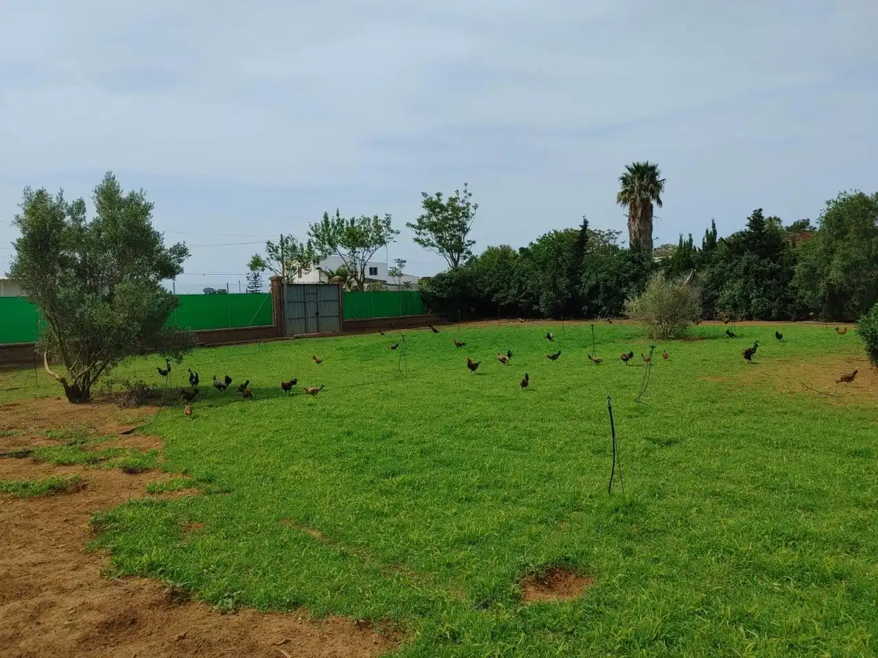 Land for sale in Chipiona