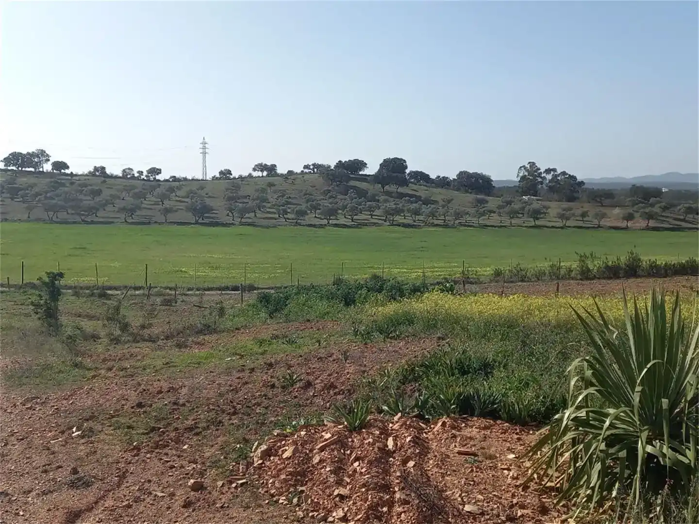 Terreno en venta en Alosno