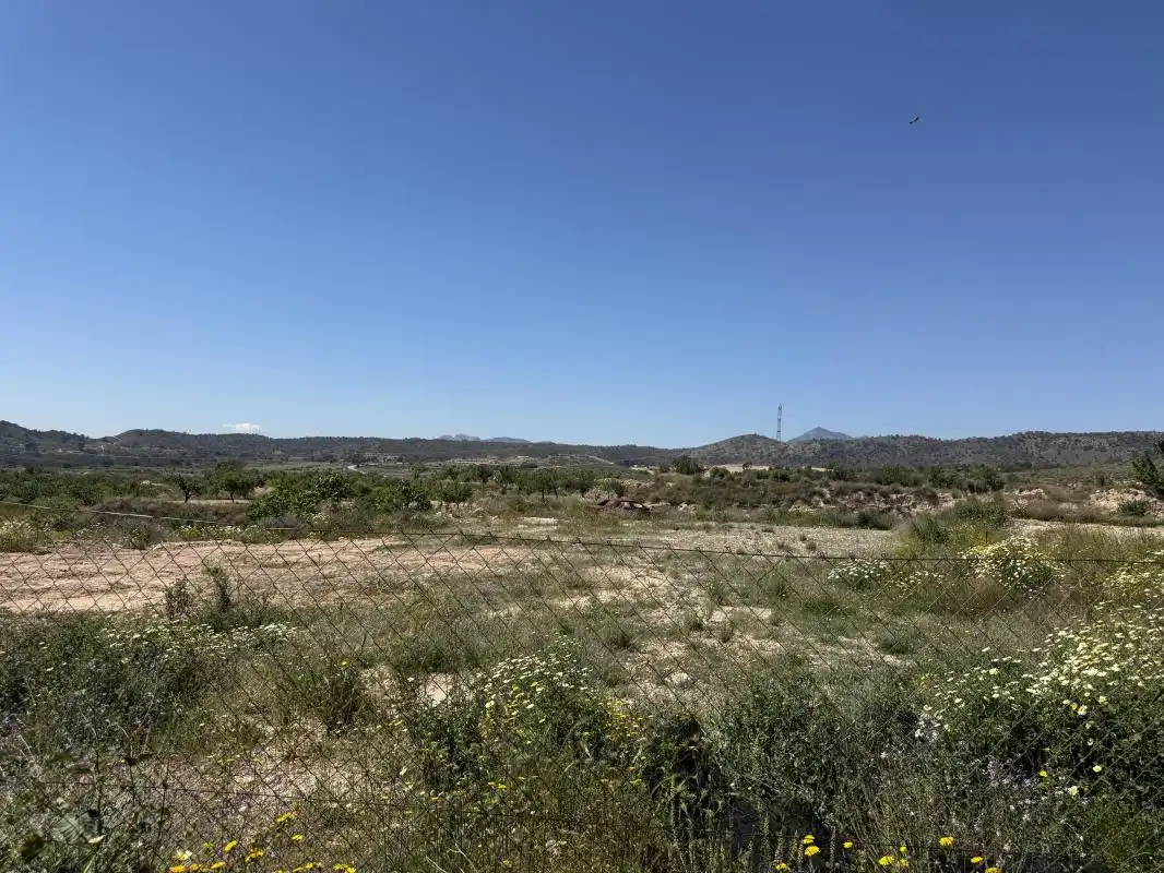 Terreny industrial en venda en Abanilla