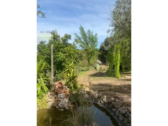 Chalet en venta en Centro, imagen 23