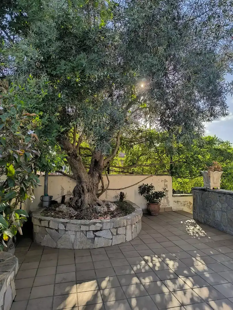 Xalet amb piscina en venda a Niàgara Parc - Àgora Parc, imagen 44