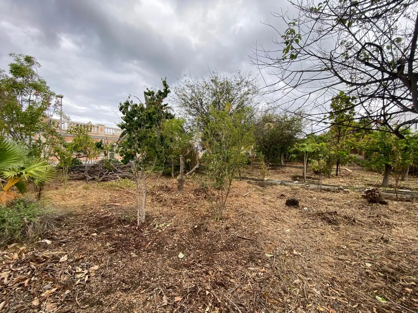 Residential land for sale in Camino la Cueva del Rey 8, imagen 23