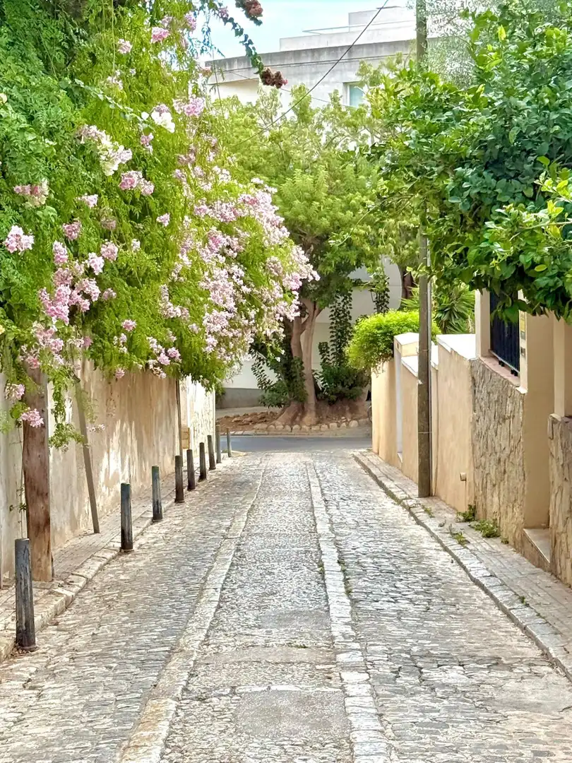 Vista exterior de Piso en venta en  Palma de Mallorca con Aire acondicionado, Terraza y Balcón