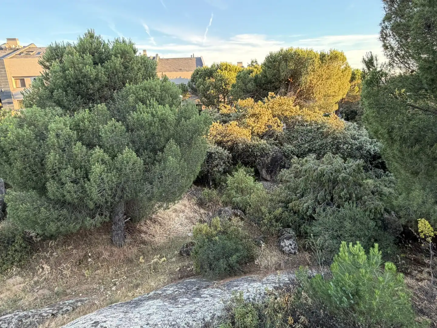 Residencial en venta en Torrelodones