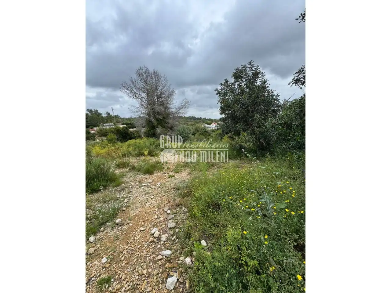 Finca rústica en venda en Montserrat amb Jardí privat