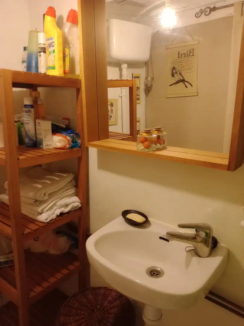 Baño de Casa o chalet en venta en Piloña con Jardín privado