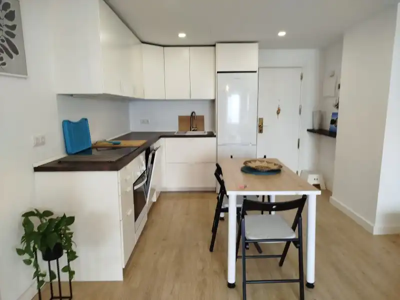 Piso de alquiler en Calle Pérez Zamora, -1, Playa Jardín