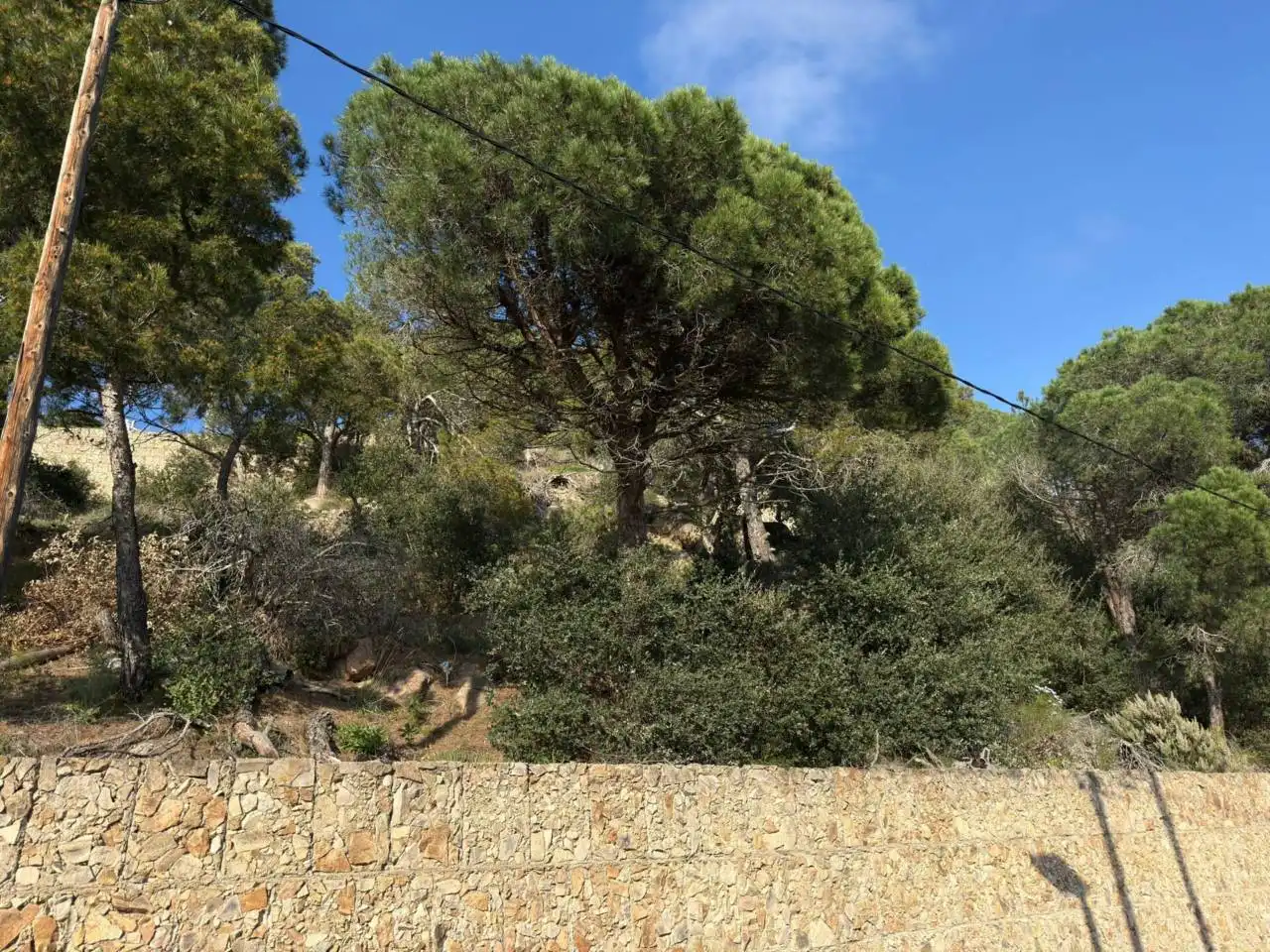Terreno residencial en venta en Calle Font dels Capellans, imagen 6
