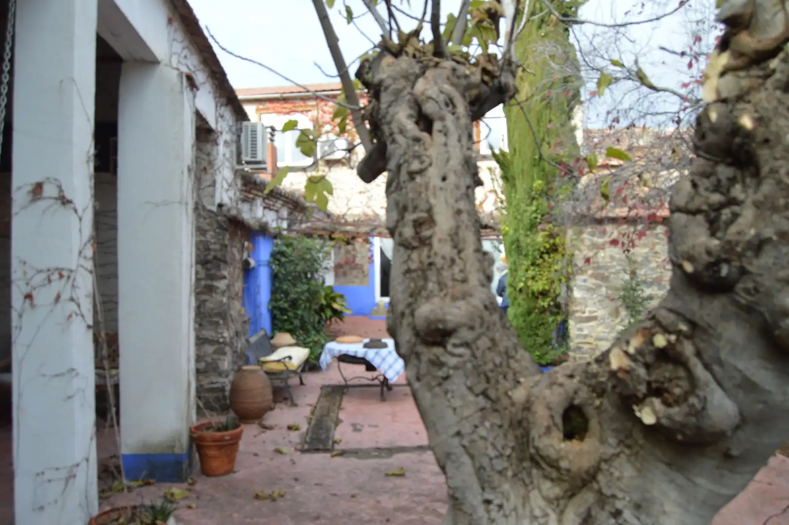 Jardí de Finca rústica en venda en Piedrabuena amb Aire condicionat, Calefacció i Terrassa
