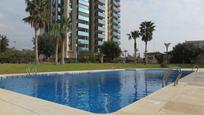 Swimming pool of Apartment for sale in Benidorm  with Terrace and Swimming Pool