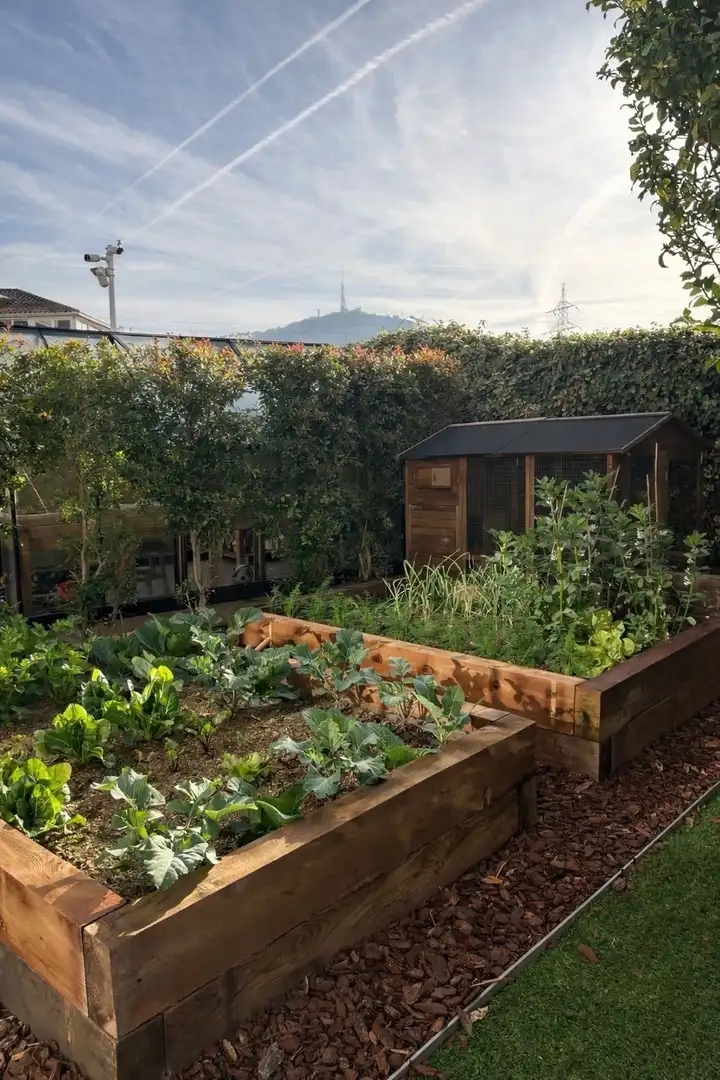Jardín de Casa o chalet de alquiler en Sant Just Desvern con Aire acondicionado, Calefacción y Terraza