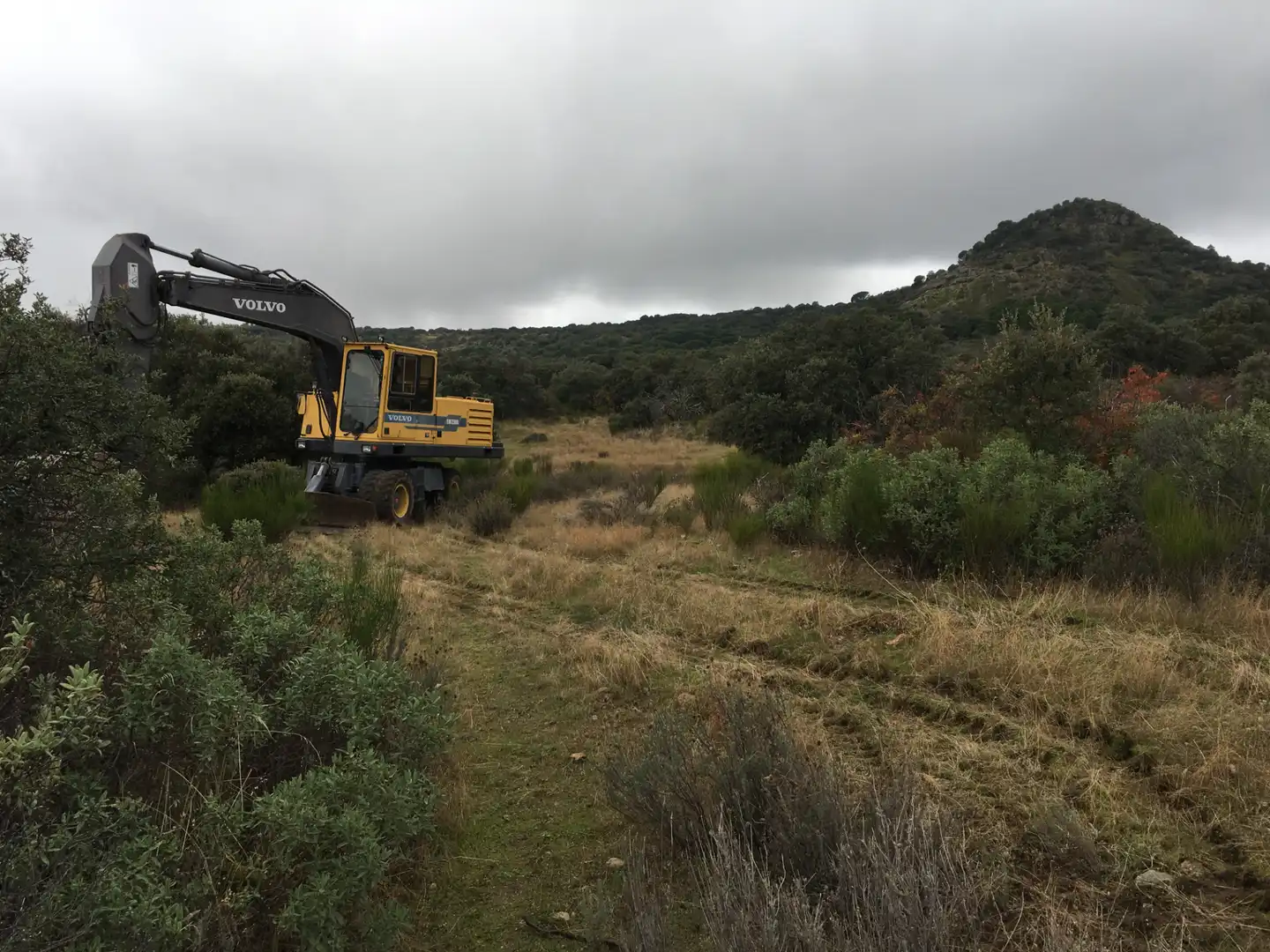 Rural land for sale in Cadalso de los Vidrios, imagen 9