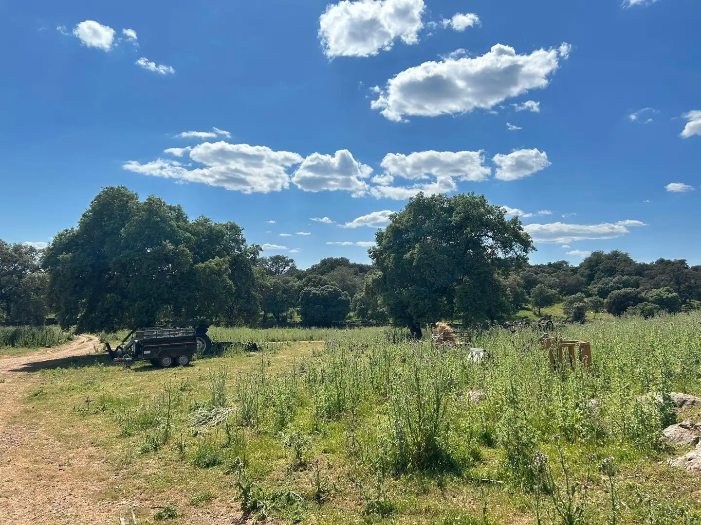 Finca rústica en venta en Alanís
