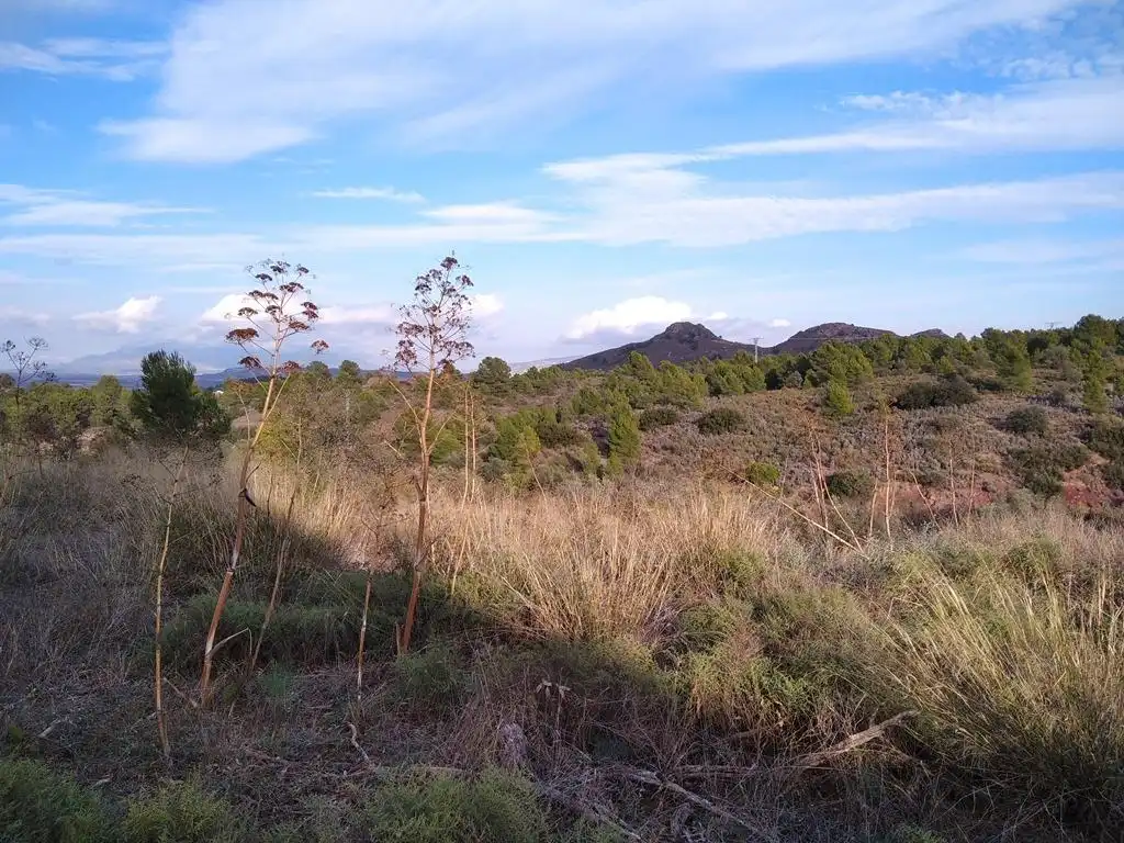 Casa o chalet en venta en Ortillo