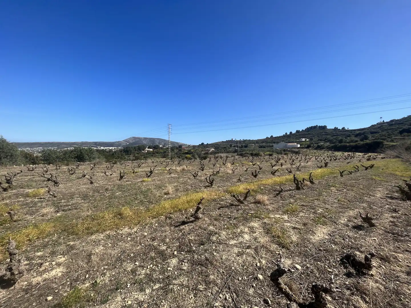 Terreny residencial en venda a Centro, imagen 4