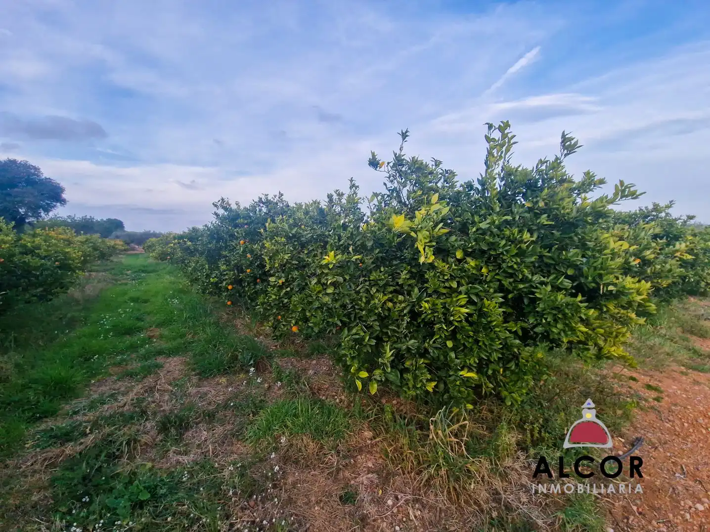 Finca rústica en venda en Càlig