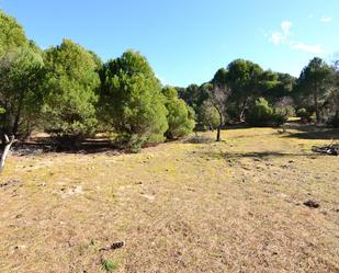 Land for sale in San Martín de Valdeiglesias