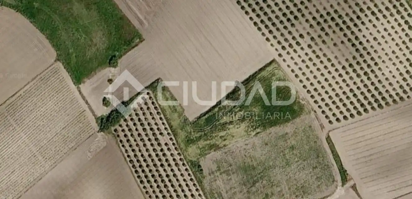 Lands and plots for sale in Lebrija