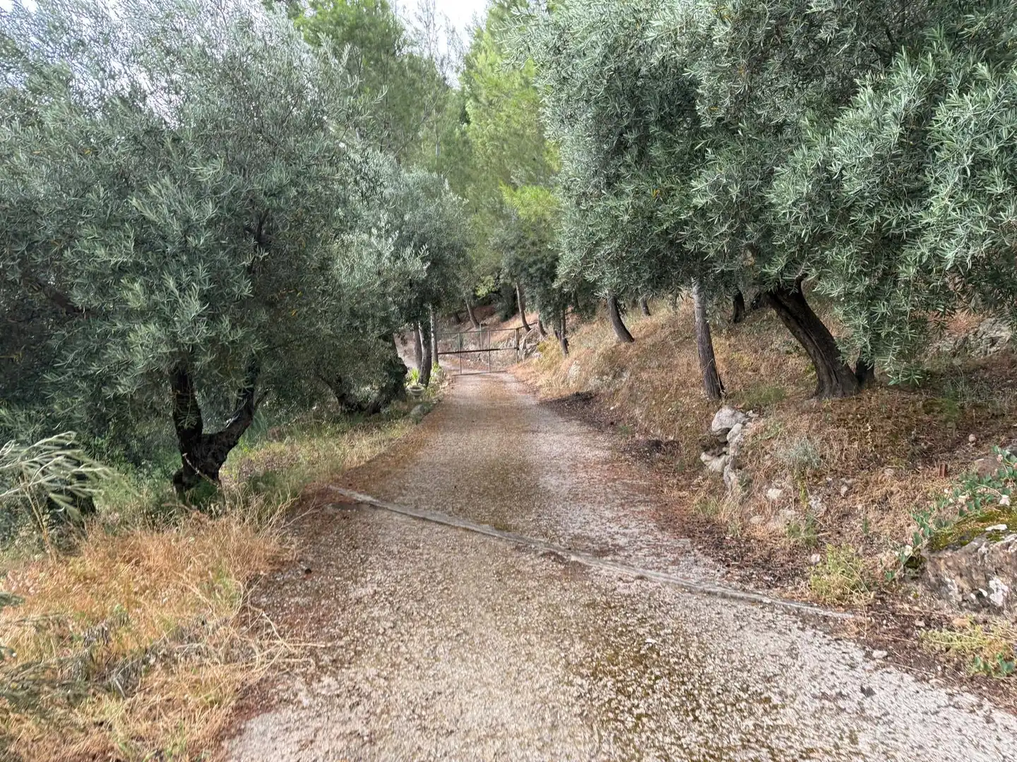 Außenansicht von Country house zum Verkauf in Jaén mit Privatgarten, Terrasse und Schwimmbad