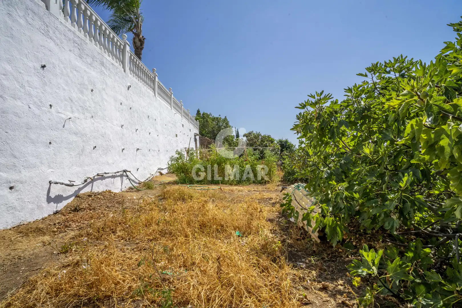 Casa o xalet en venda en Estepona amb Jardí privat i Piscina