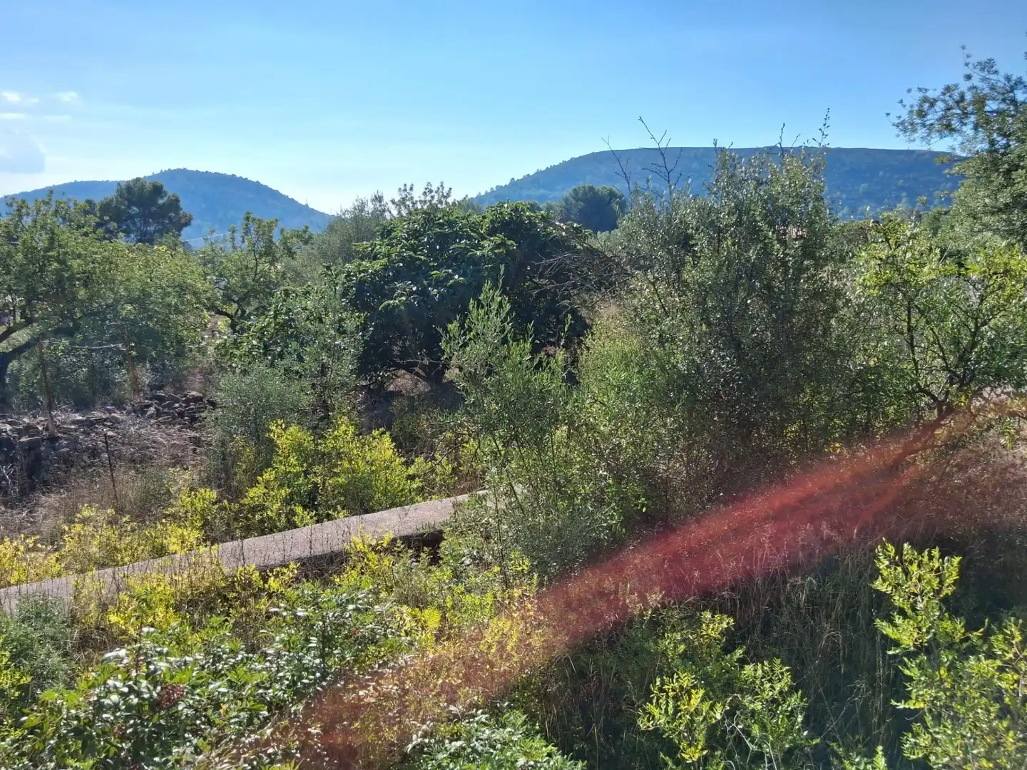 Wohnbaugrundstück zum Verkauf in L'Alcora, imagen 10