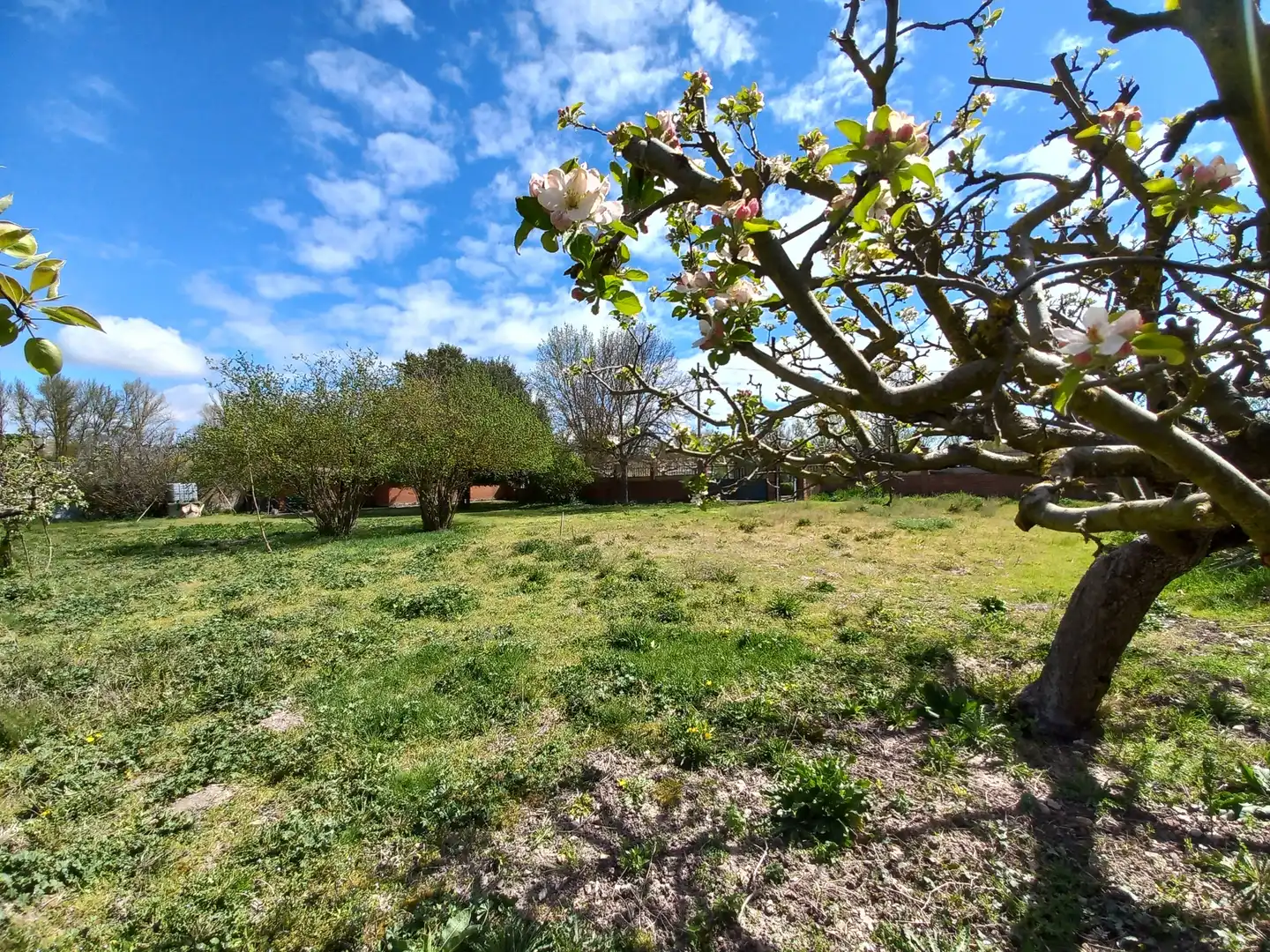 Finca rústica en venta en Cayuela con Jardín privado