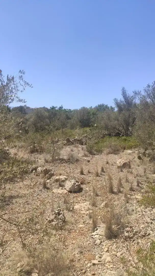 Terreny en venda en Marratxí