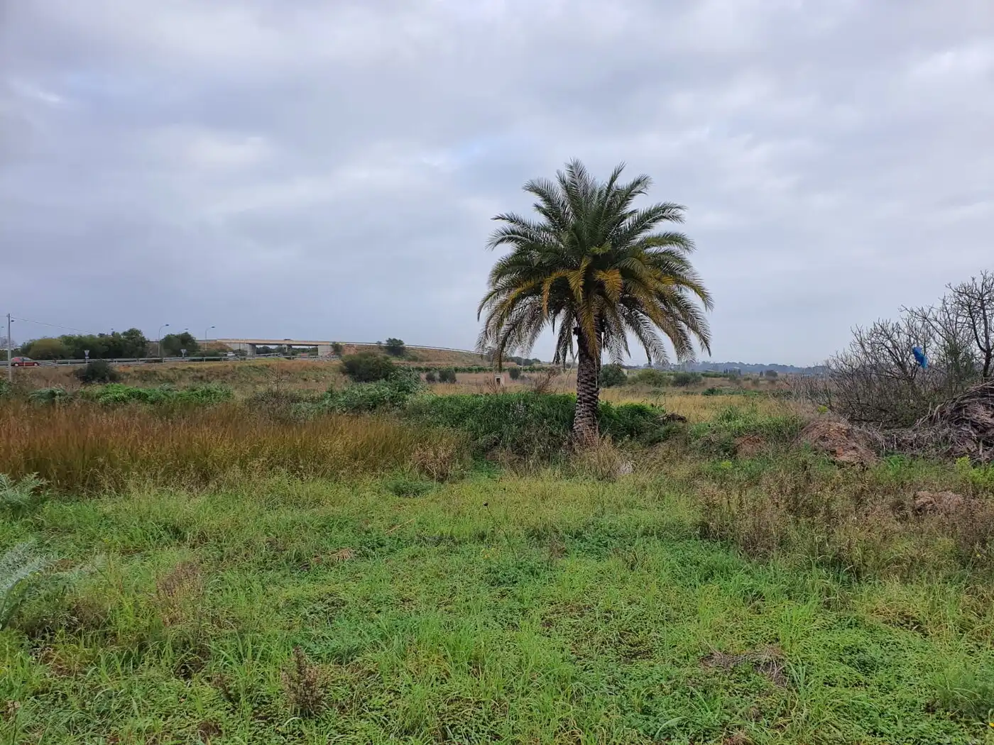 Villa à vendre à Centro, imagen 8