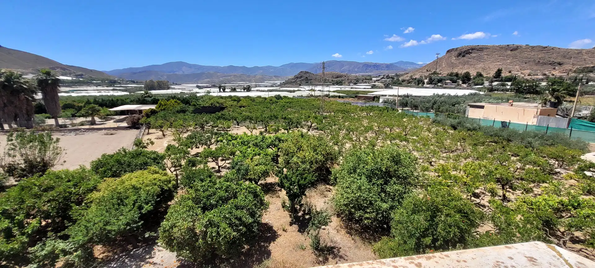 Vista exterior de Finca rústica en venta en Berja con Jardín privado, Terraza y Piscina