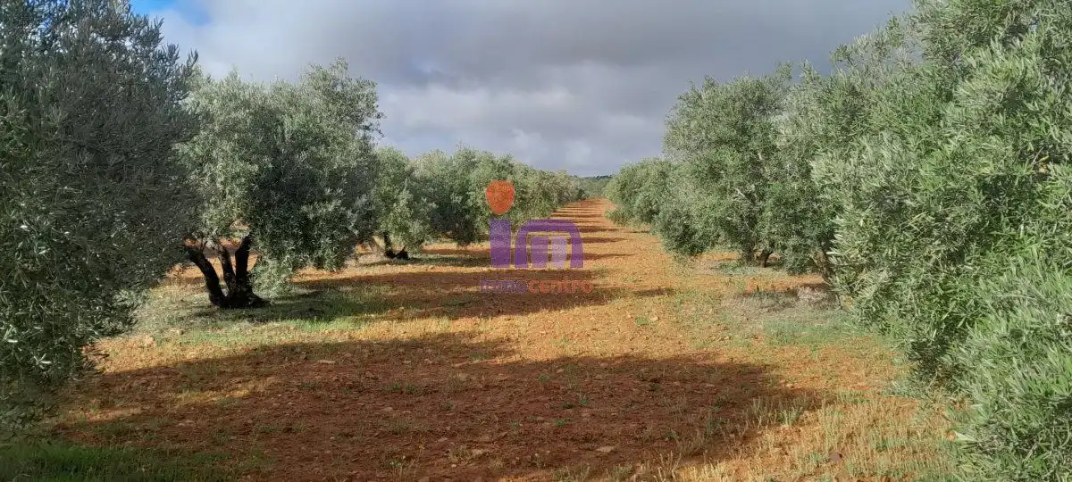 Casa rústica en venda a Valdepeñas, imagen 6