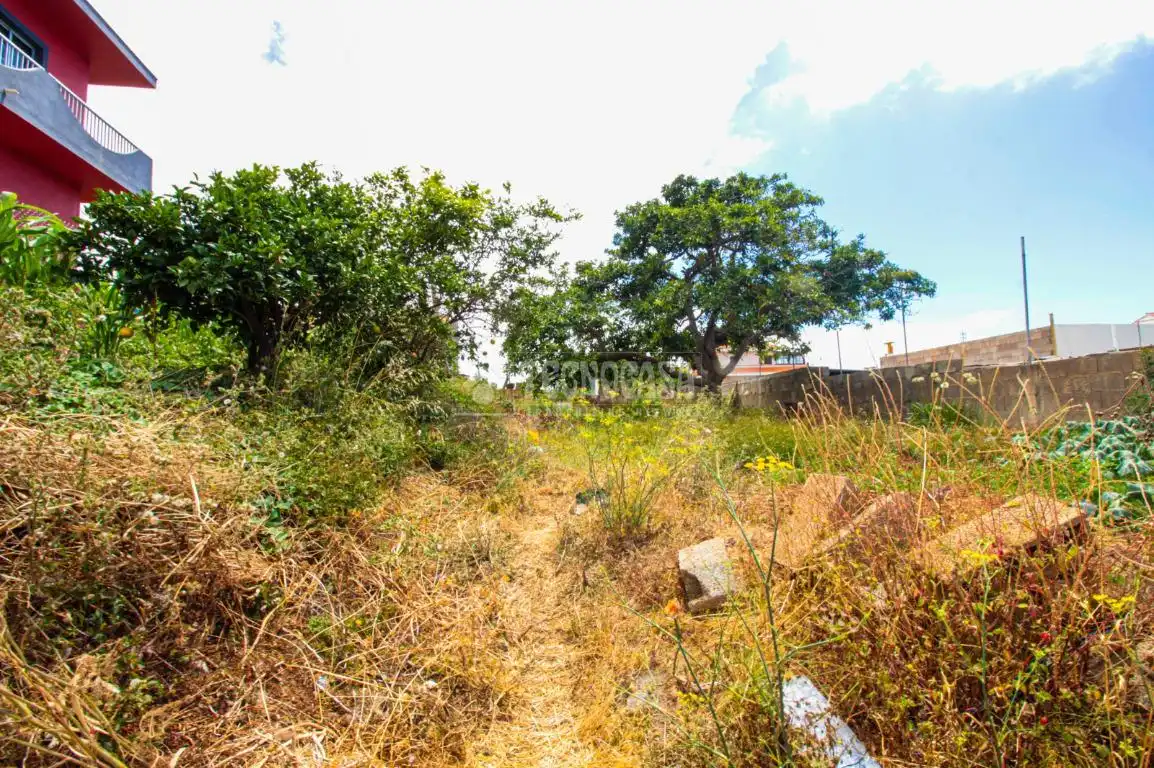 Terreno residencial en venta en El Sauzal, imagen 22