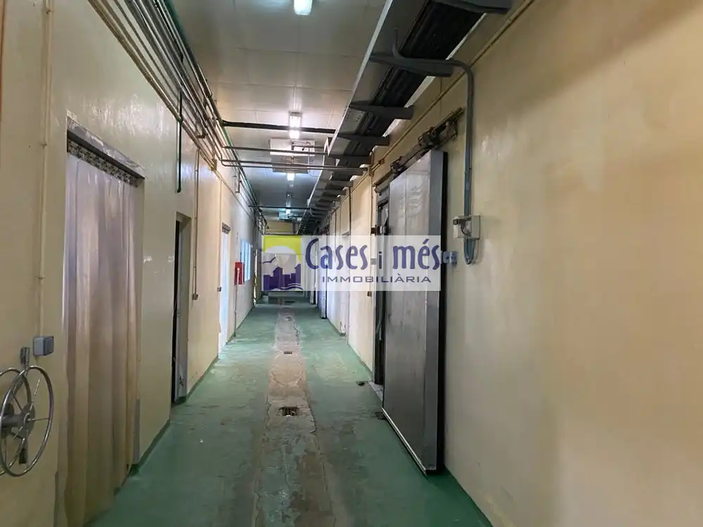 Nave industrial in vendita a Chelva, imagen 30