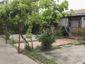 Terreno en venta en Piedrabuena
