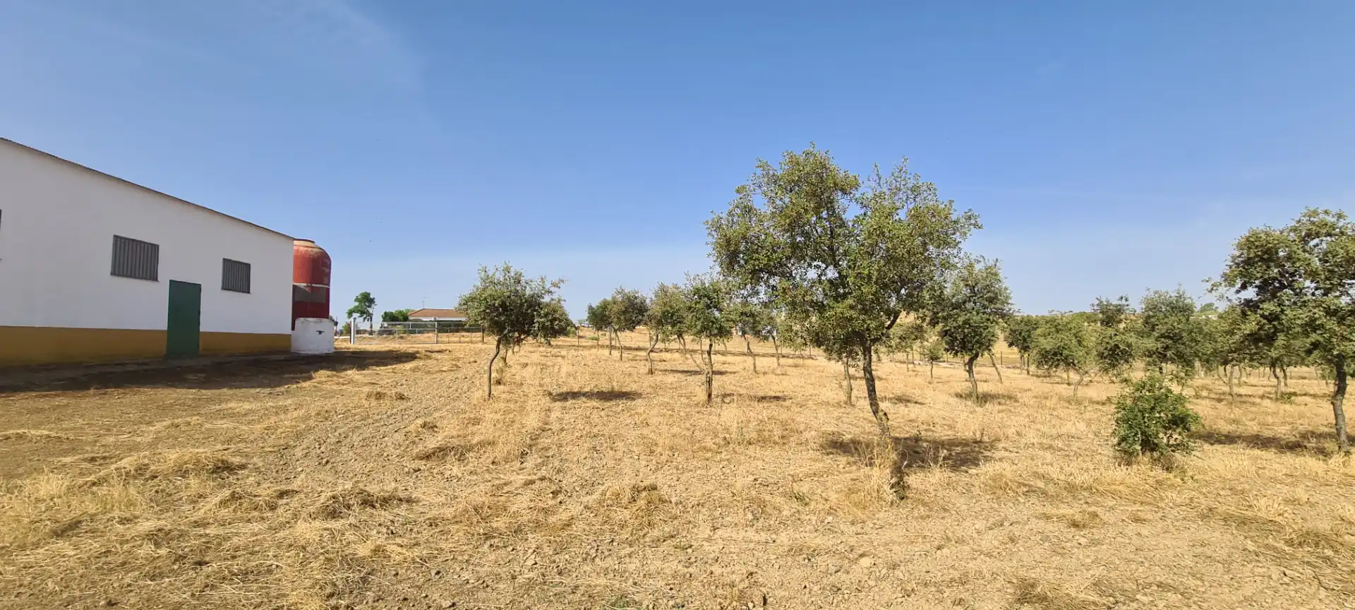 Terreni e lotti in vendita a Azuaga, imagen 13