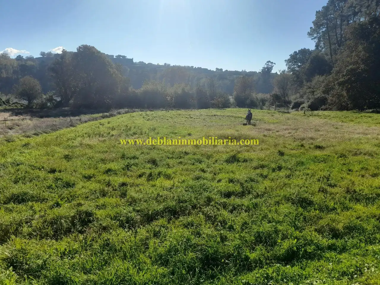 Terreno rústico en venta en Tui, imagen 2