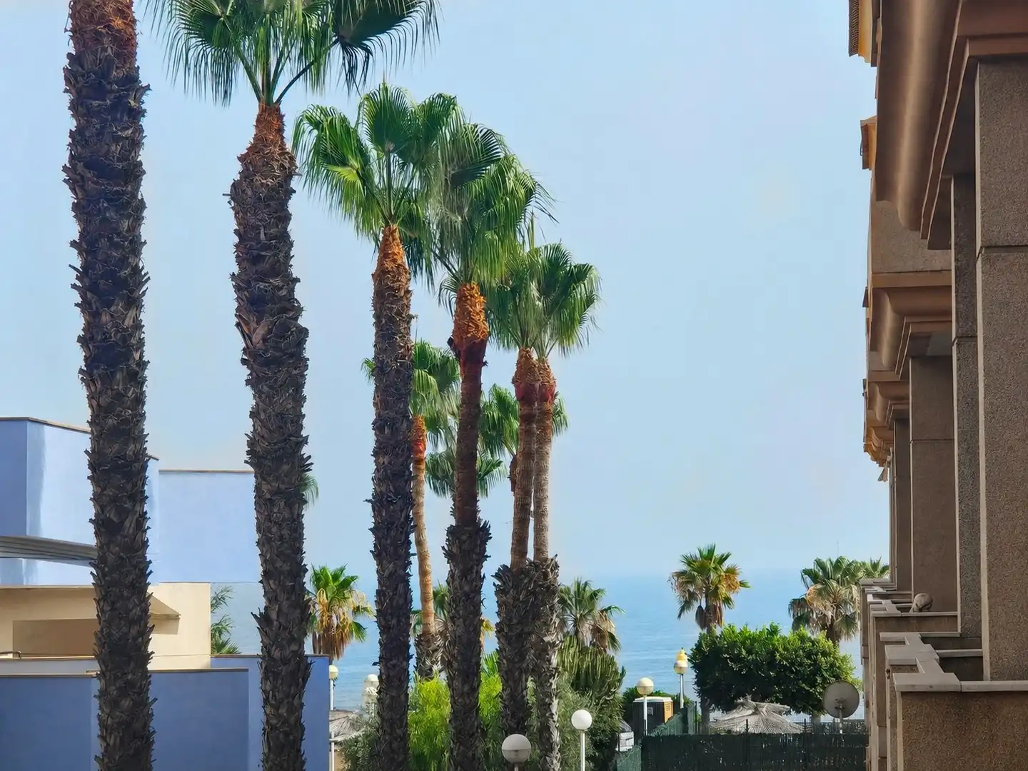 Vista exterior de Apartament en venda en Orihuela amb Aire condicionat, Terrassa i Piscina