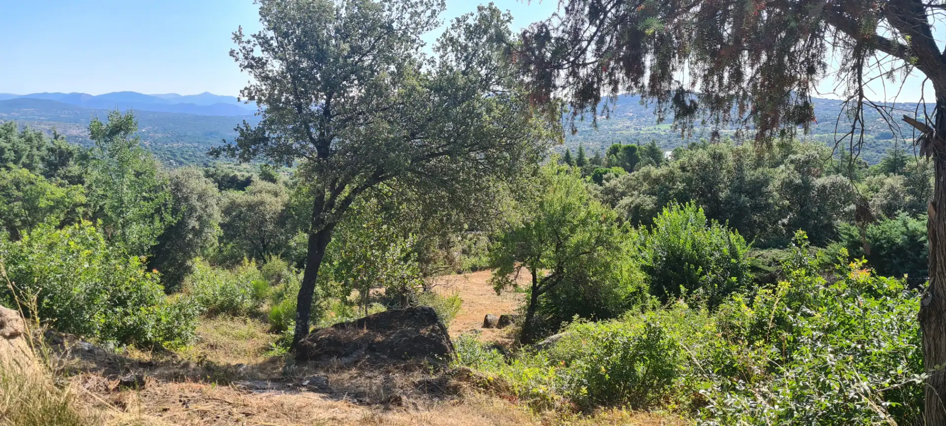 Residential land for sale in Calle Tajuña 726, imagen 2