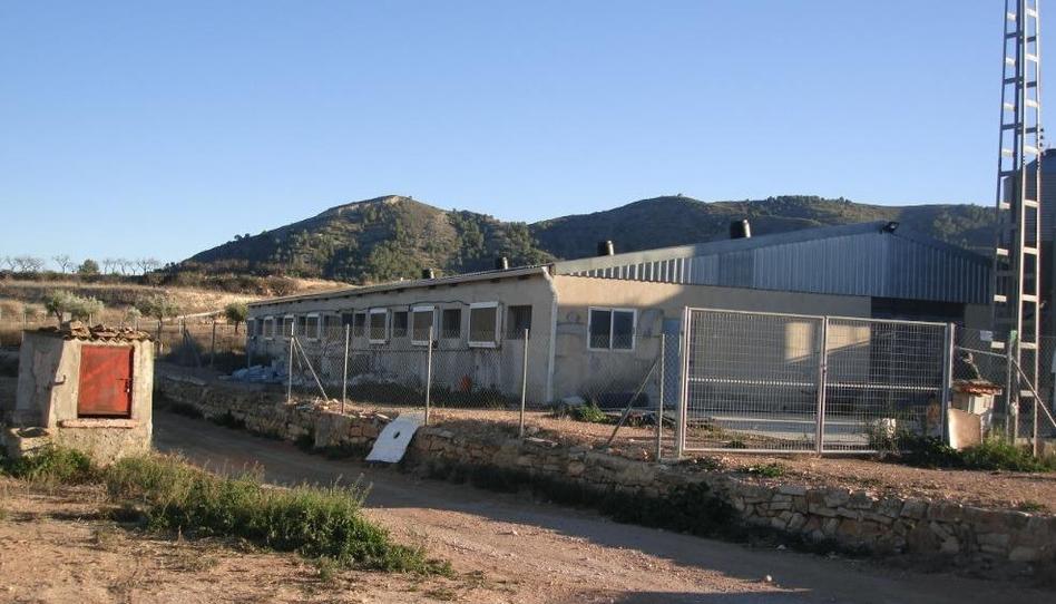Photo 1 of Industrial buildings for sale in La Romana, Alicante