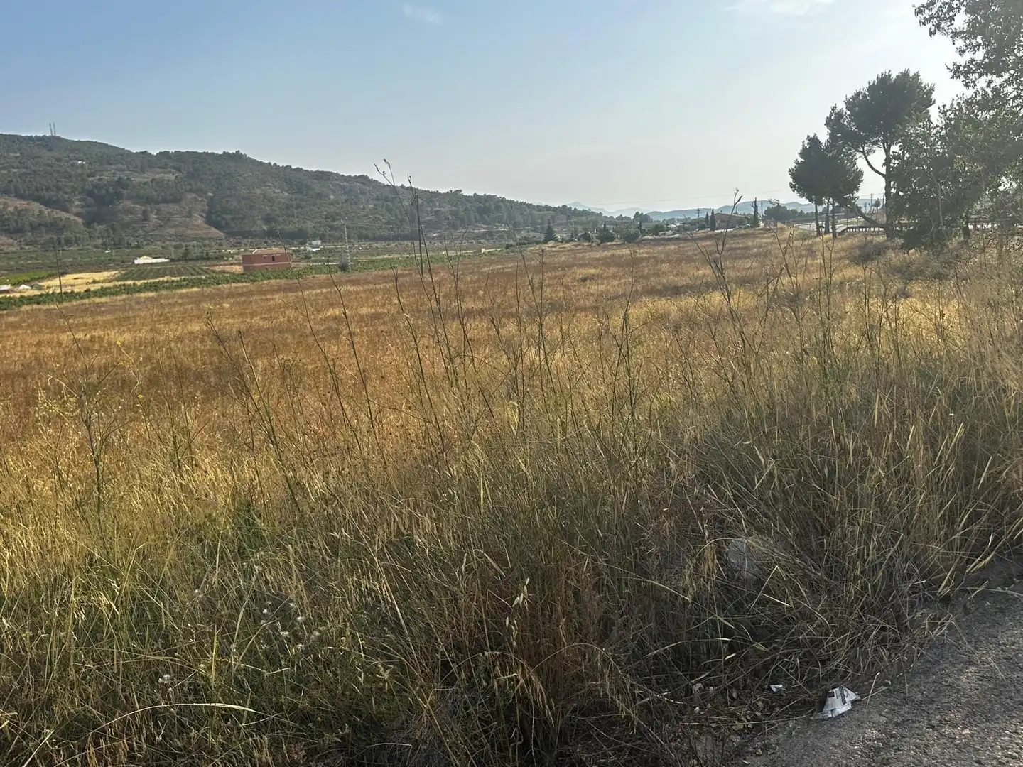 Terreno residencial en venta en El Pinós / Pinoso, imagen 10