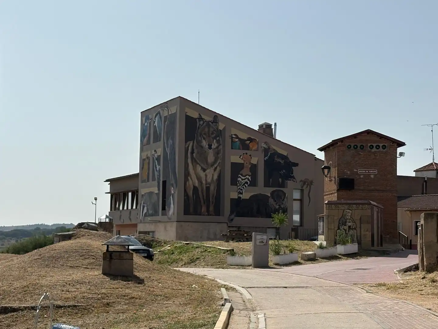 Vista exterior de Finca rústica en venta en Castronuño con Jardín privado, Trastero y Amueblado