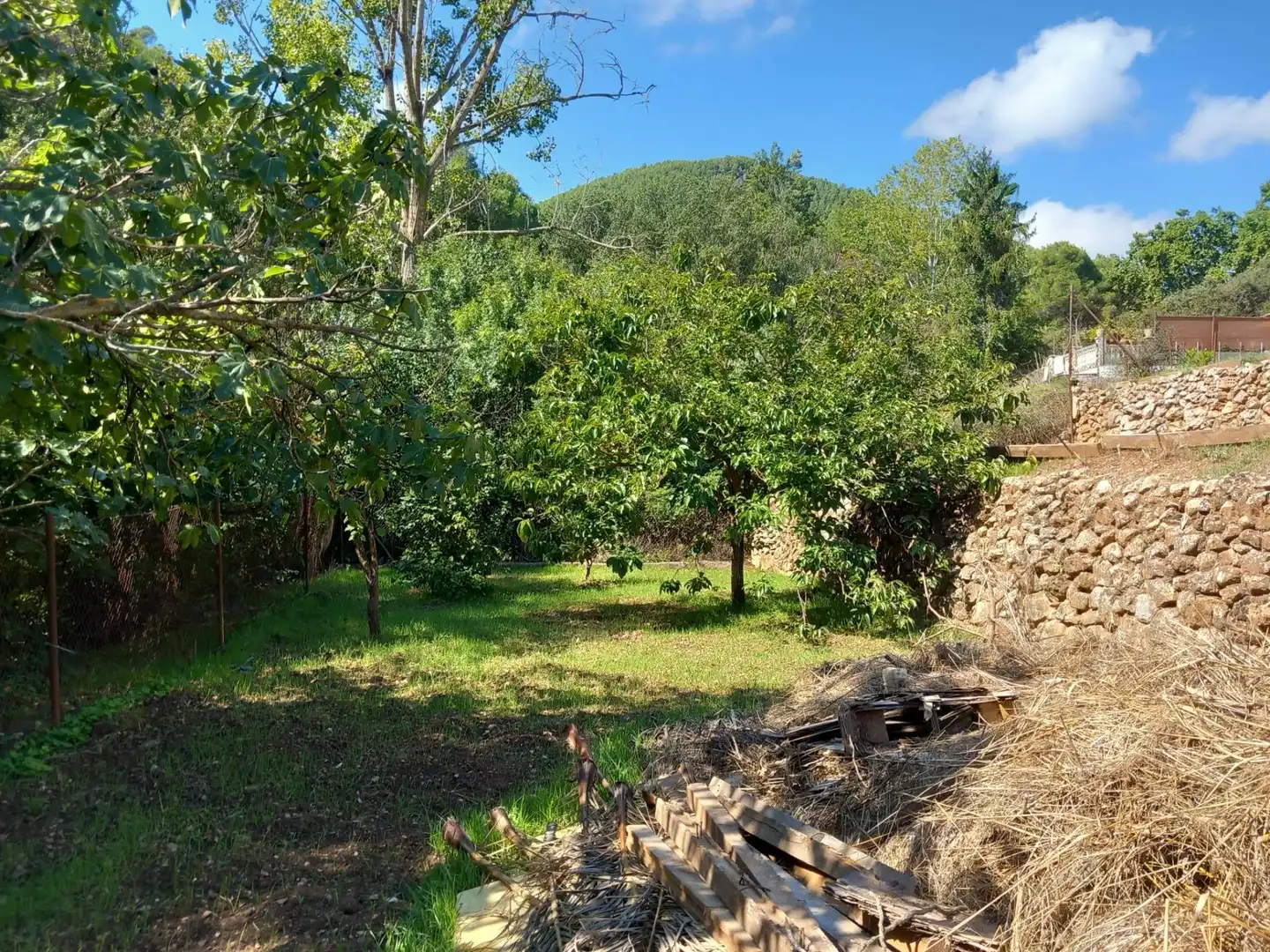 House with pool for sale in Torrelles de Foix, imagen 38
