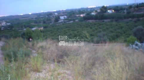 Photo 5 of Industrial land for sale in Olimar - Carambolo - Atalaya de Levante, Valencia