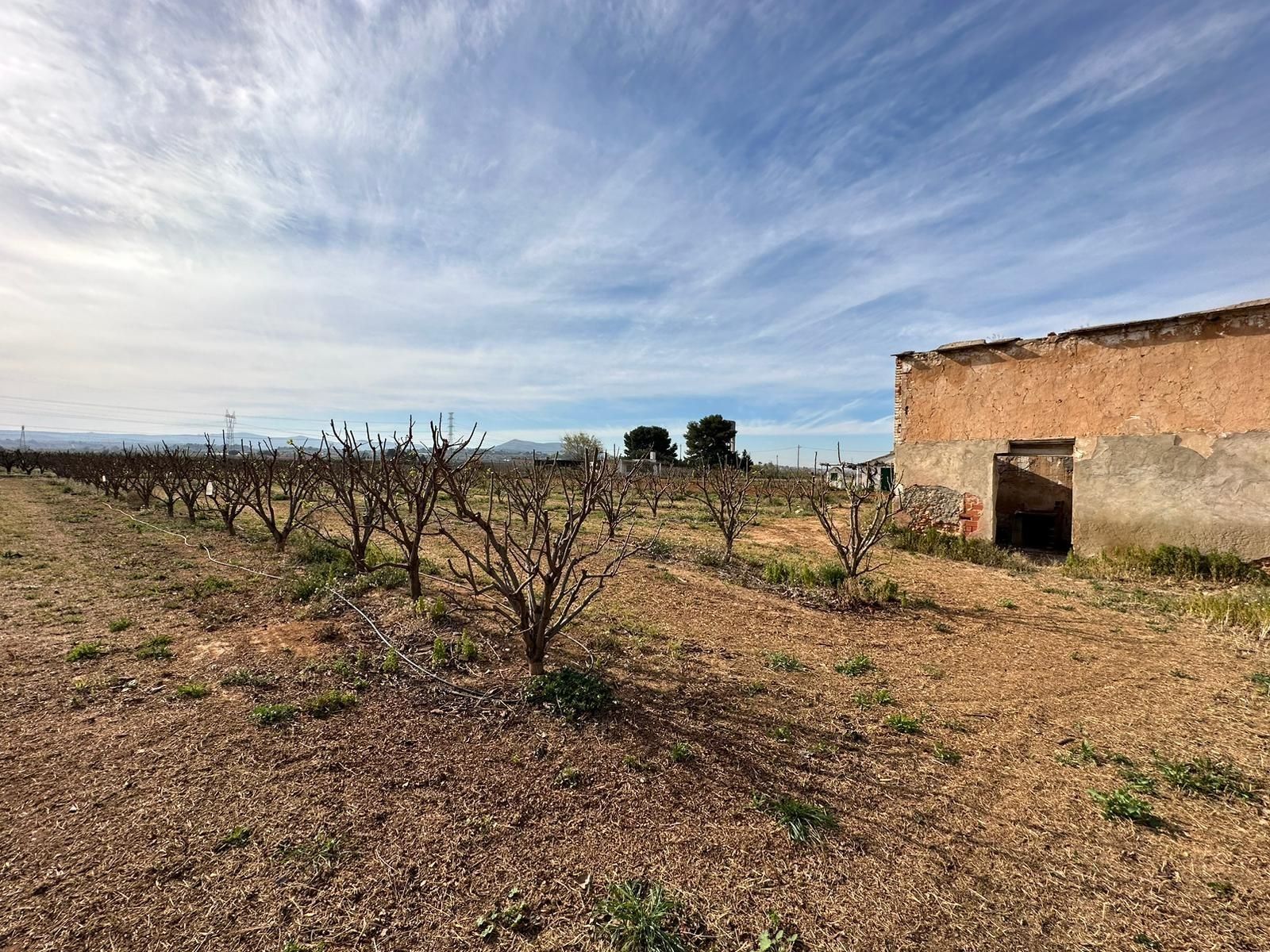 Finca rústica en venta en  BENIMODO, Benimodo