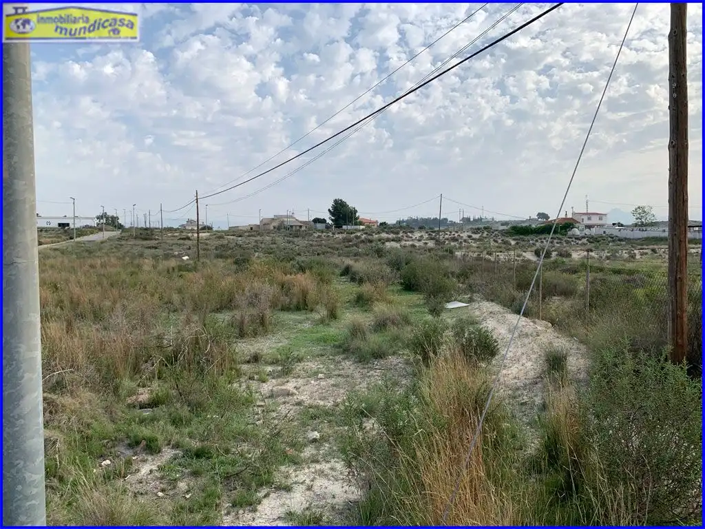 Terreno rústico en venta en Fortuna, imagen 6