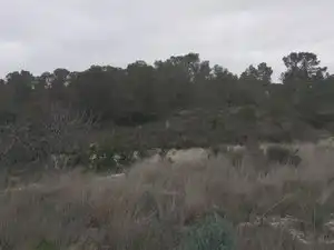 Terreny rústic en venda a Tibi, imagen 9
