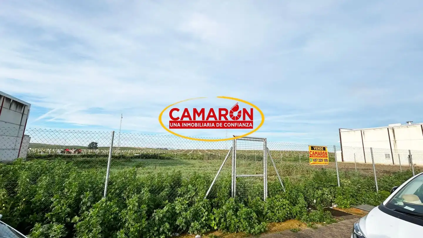 Lands and plots for sale in Salteras, imagen 2
