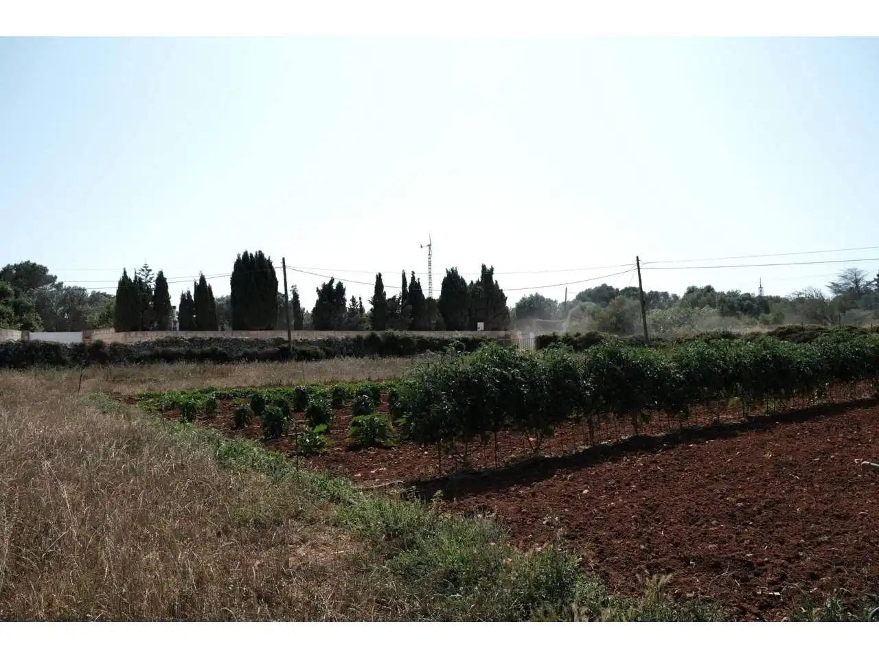 Finca rústica en venta en Ciutadella de Menorca con Jardín privado y Piscina