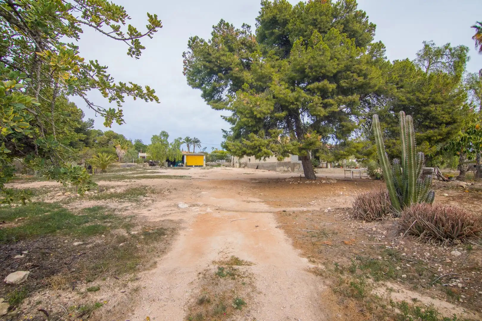 Houses for sale in Elche / Elx  with Private garden and Storage room