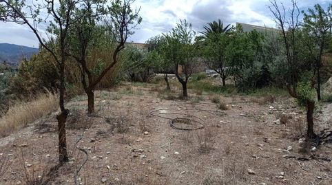 LÚCAR  ALMERÍA , TERRENO URBANO CON AGUA ., imatge 5